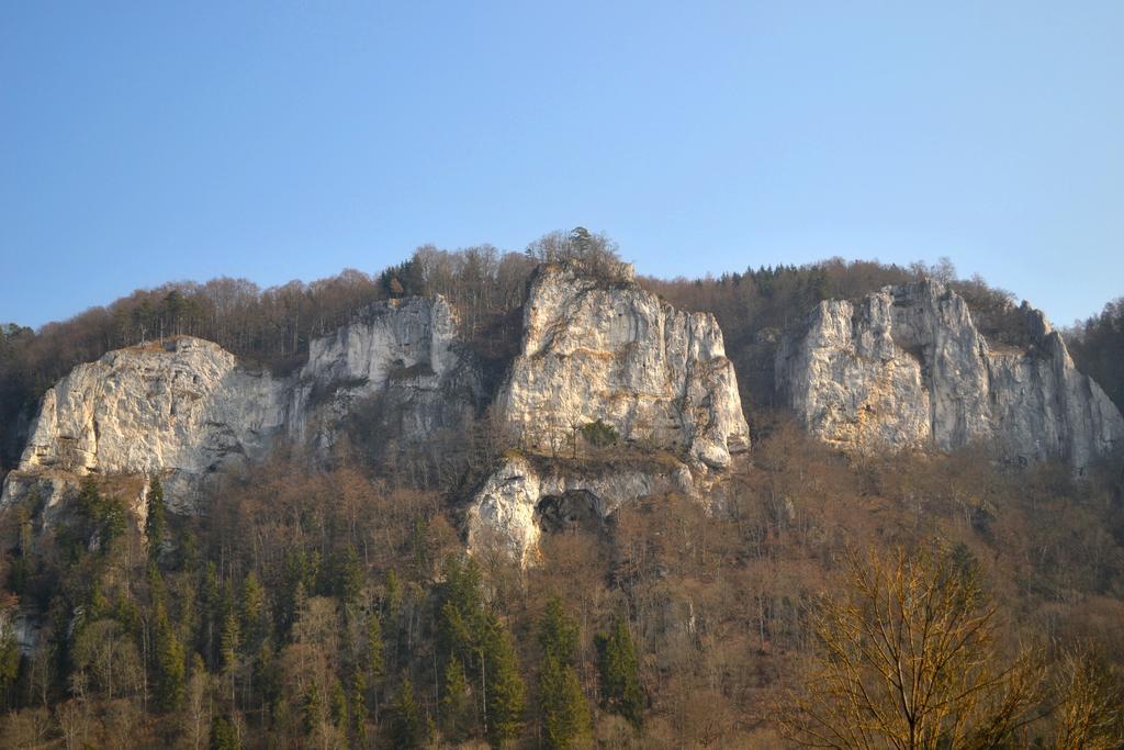 Fewo Larissa Apartman Beuron Szoba fotó